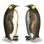 Penguins Kissing Emoticons