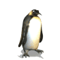 Penguin Waving Hello Emoticons