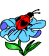 Ladybug On Flowers  Emoticons
