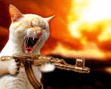 Cat Firing Gun Emoticons