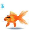 Swimming Goldfish Emoticons