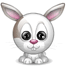 Rabbit Looking At You Emoticons