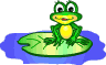 Frog Offering Present Emoticons