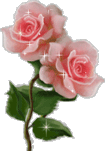 Shinning Rose Flower Emoticons
