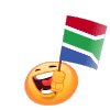 Waving South African Flag Emoticons