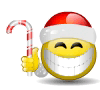 Grinning Smiley Santa Emoticons