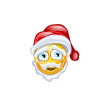 Santa Smiley With Present Emoticons