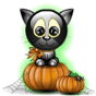 Cat On Pumpkin Emoticons