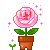 Pink Rose In A Plant Pot Emoticons