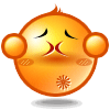 Orange Smiley Face Eyes Closed Emoticons