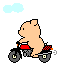 Small Pig On Motor Bike Emoticons