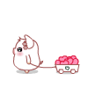 White Pig Collecting Pink Hearts Emoticons