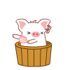 White Pig Washing Wooden Tub Emoticons