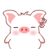 White Pig Clapping And Cheering Emoticons